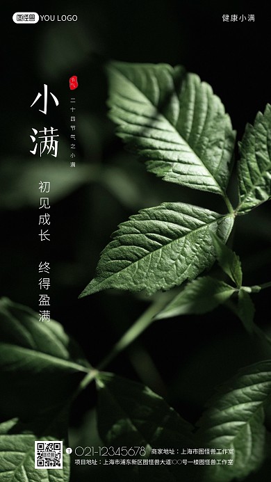 早安健康小满绿色树叶简约摄影日签每日一签