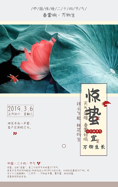 惊蛰二十四节气白色简约手机海报