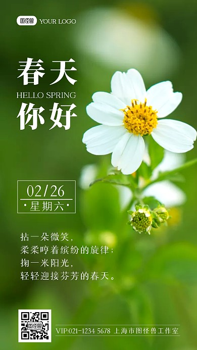 春天你好小清新雏菊文艺简约摄影图海报