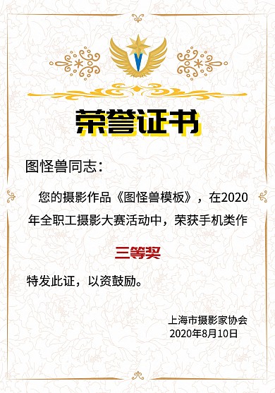 摄影作品展竖版黄底边框创意荣誉证书