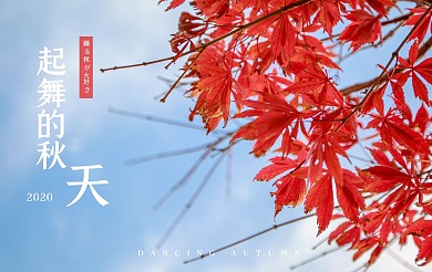 秋天枫叶文艺景色摄影图明信片