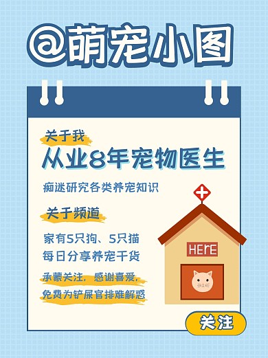 宠物养护知识合集小红书封面