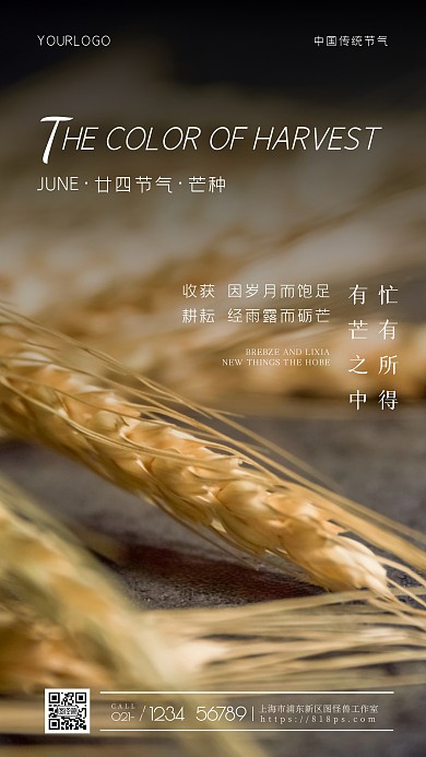 二十四节气之芒种小麦简约摄影图海报