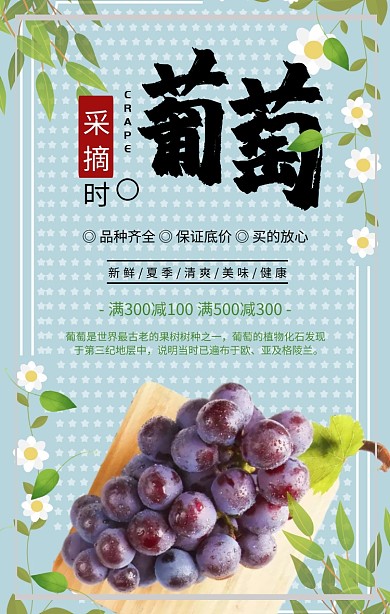 简约摄影水果葡萄商家促销活动手机海报