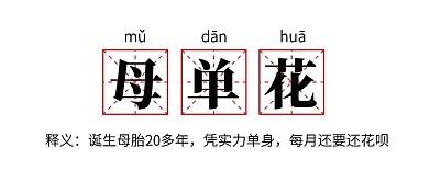 网络热词母单花热点话题公众号封面