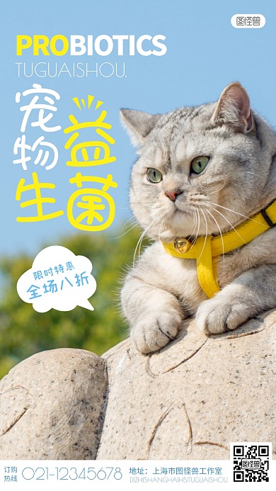蓝色简约可爱猫咪宠物益生菌摄影图海报