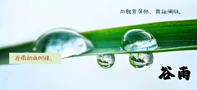 绿色清新百生谷雨公众号特殊首图