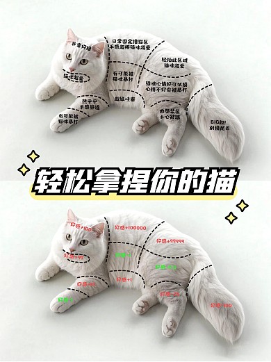 宠物使用说明书小红书封面