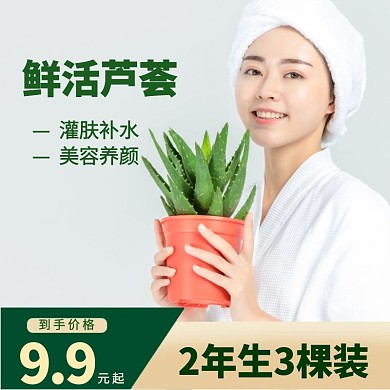 植物阿里芦荟补水养颜绿色主图模板