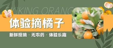 体验摘橘子水果现摘创意首图