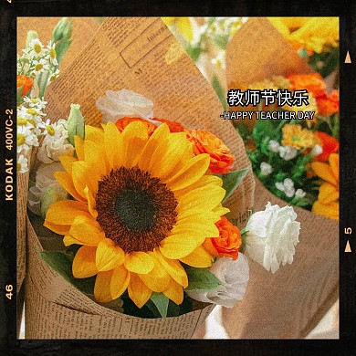 复古向日葵教师节祝福PLOG