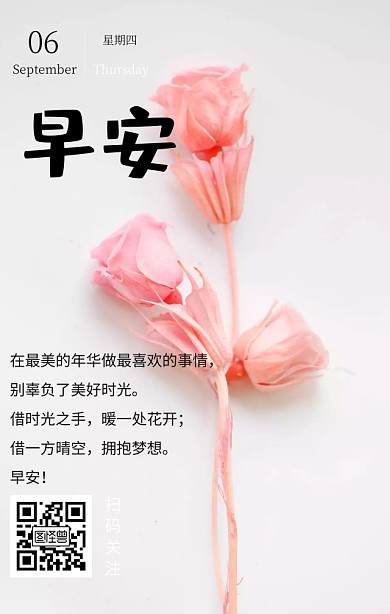 花朵简约清新早安心语营销日签励志鸡汤