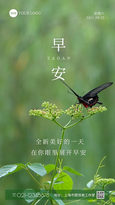 唯美早安问候简约风绿色摄影图海报