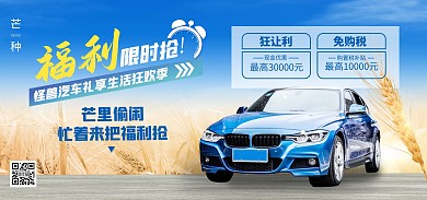 芒种节气汽车促销小麦电商banner