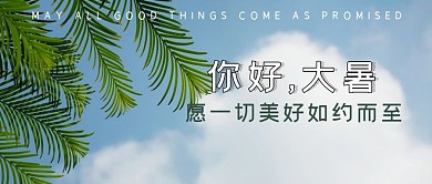 摄影绿色夏天清新三伏大暑日系公众号首图