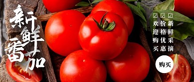 简约创意新鲜蔬菜红包封面番茄