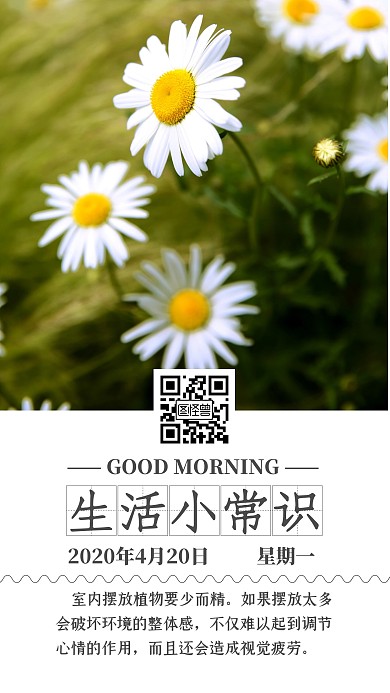 植物生活小常识日签打卡朋友圈