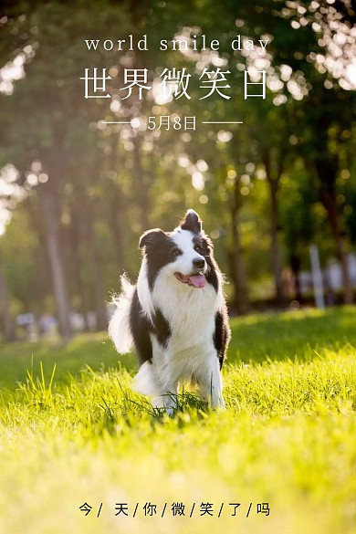 世界微笑日红包公众号封面配图