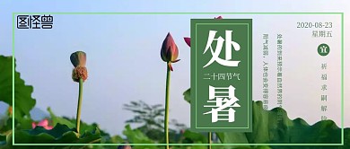 处暑养生清新公众号封面