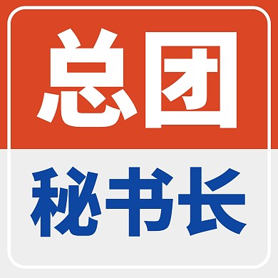 红色大气简约风总团秘书长微信头像