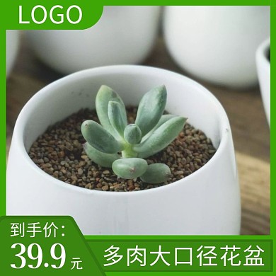 多肉绿植花盆托盘主图
