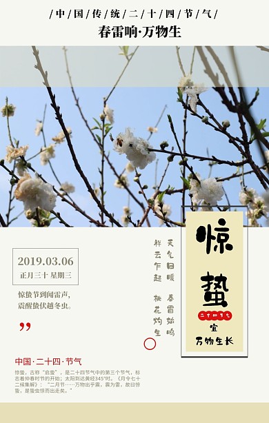 惊蛰节气几何桃花摄影手机海报