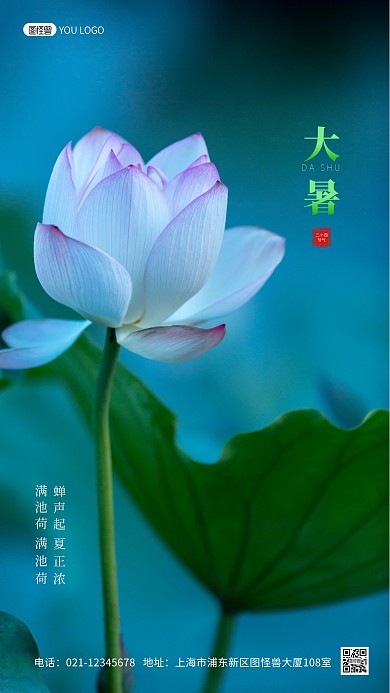 大暑节日节气简约风摄影图手机海报