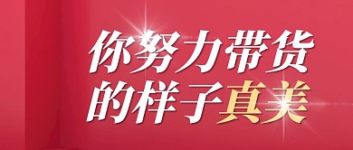 你努力带货的样子真美公众号封面