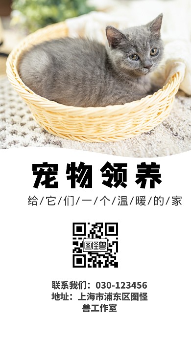 宠物领养手机海报
