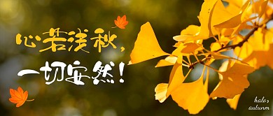 摄影风简约浅秋公众号首图