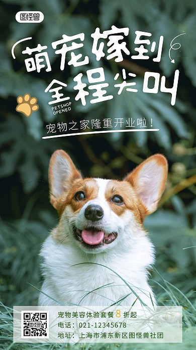 宠物体检套餐纯色大气手机摄影图海报