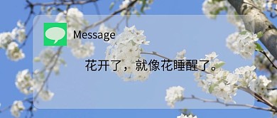 花开了就像花睡醒了蓝色白色摄影公众号首图