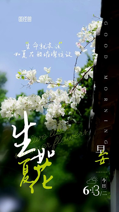 早安日常问候祝福摄影图宣传手机海报