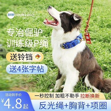 宠物牵引绳狗绳主图直通车