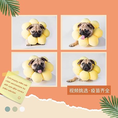 创意宠物售卖四宫格拼图主图直通车
