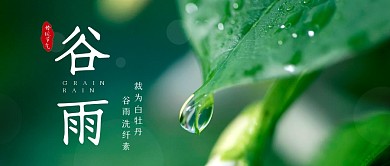 谷雨节气微距植物公众号封面首图