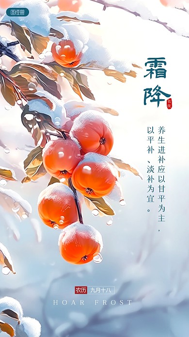简约大气霜降节气养生宣传摄影图海报