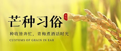 芒种习俗公众号封面首图