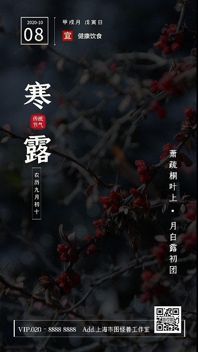 简约清新中国传统节气寒露日签手机海报