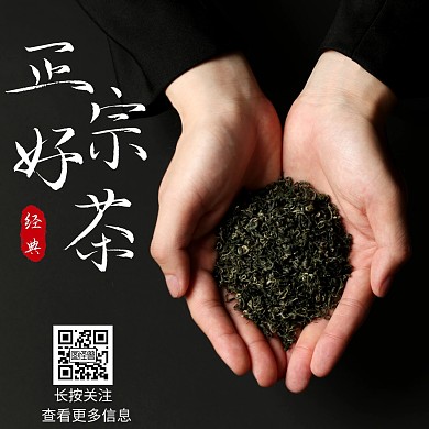 茶叶关注二维码公众号正方形配图