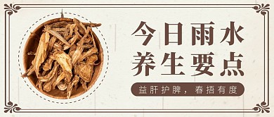 简约中国风雨水养生公众号封面