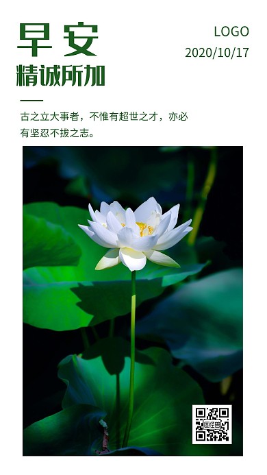 10.17日签简约绿色早安