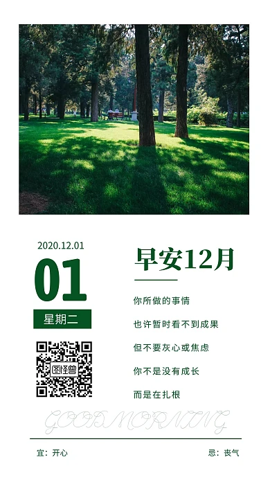 简约摄影背景绿色早安海报12月1日	