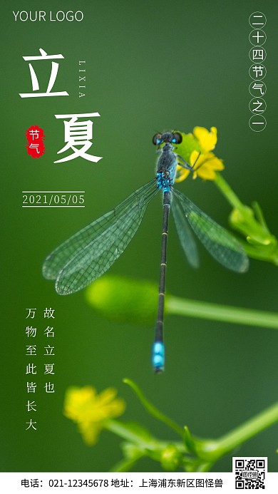 简约风立夏节气寓意科普摄影图海报