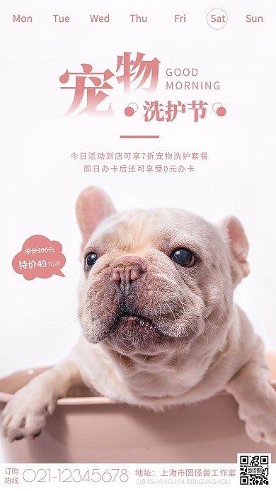 粉色简约摄影狗狗宠物洗护早安宣传日签