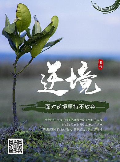简约大气创意摄影风逆境中成长励志宣传海报