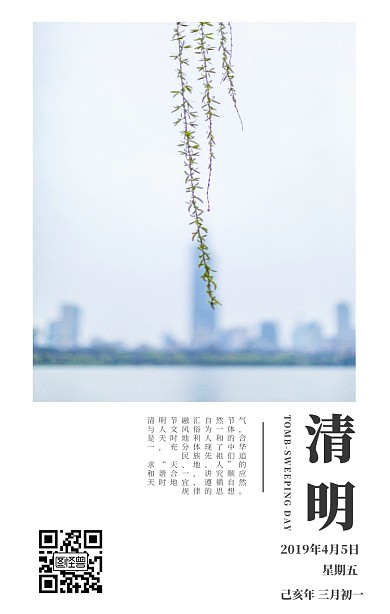 清明节传统习俗科普简约春天柳叶手机海报