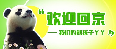 欢迎丫丫回京简约彩色微信公众号首图
