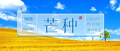 摄影风芒种节气问候祝福公众号封面首图