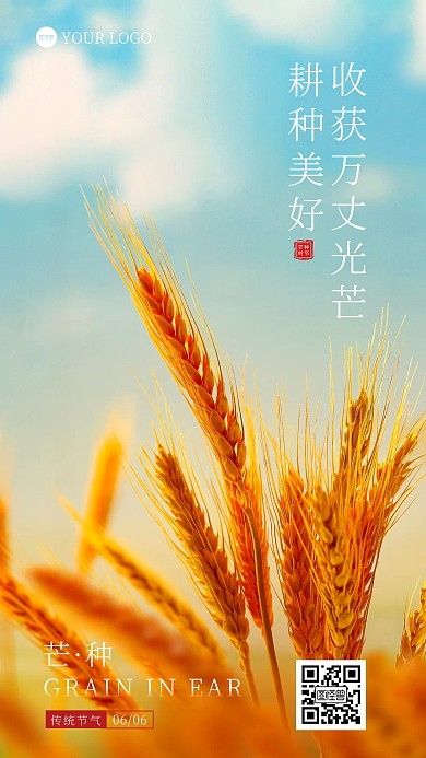 芒种传统二十四节气问候摄影图海报